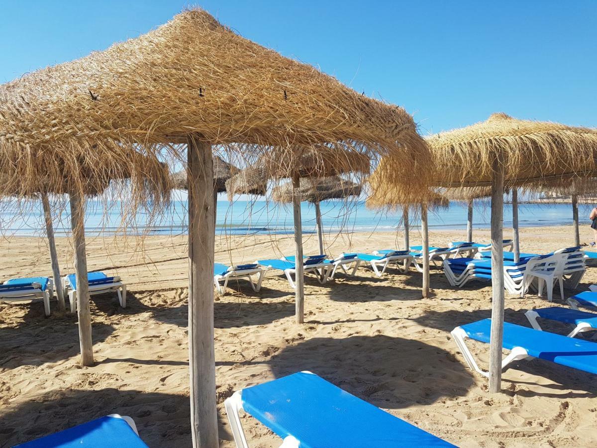شقة Vip, First Line,Sea View, Beach تورّيفيِخا المظهر الخارجي الصورة
